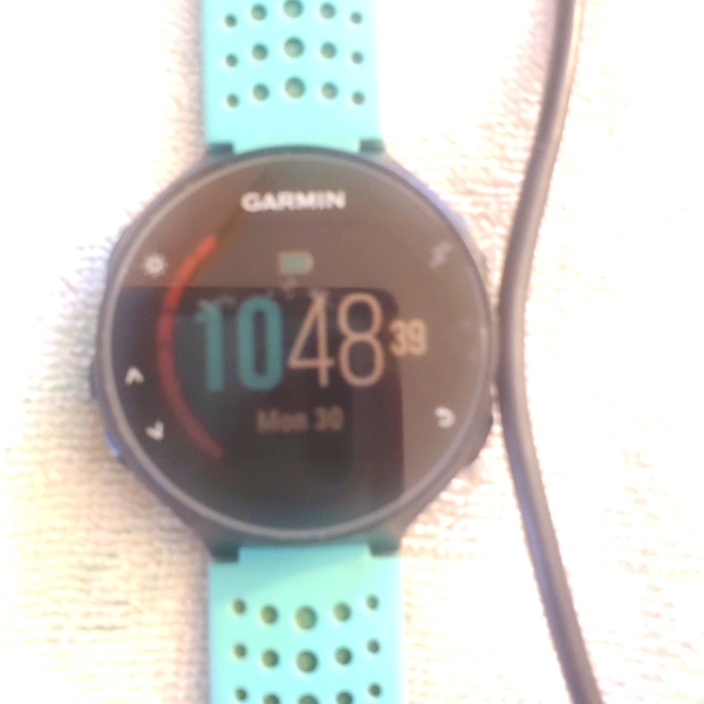 Garmin Smartwatch
